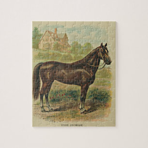 The Horse Puzzle