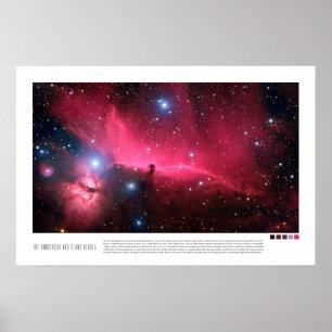 The Horsehead and Flame Nebula (Barnard 33) Poster