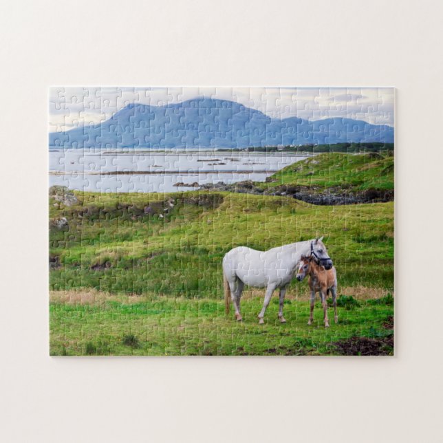 The Horses of Connemara | Galway, Ireland Jigsaw Puzzle (Horizontal)