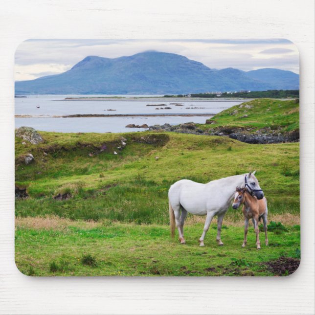 The Horses of Connemara | Galway, Ireland Mouse Mat (Front)