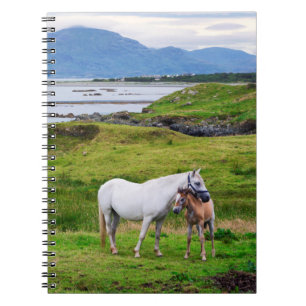 The Horses of Connemara Galway, Ireland Notebook