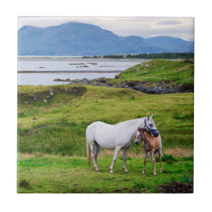 The Horses of Connemara   Galway, Ireland Tile