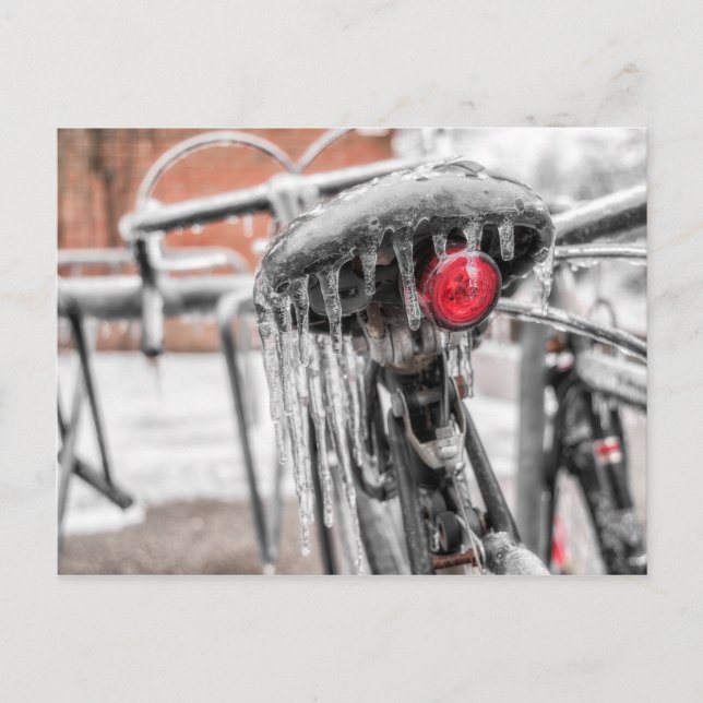 The Hot Seat Collection Post Card (Front)