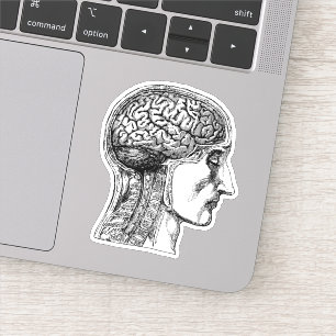 The Human Brain Medical Illustration Sticker
