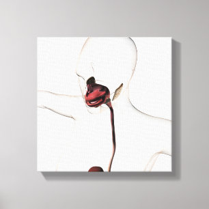 The Human Digestive System 3 Canvas Print