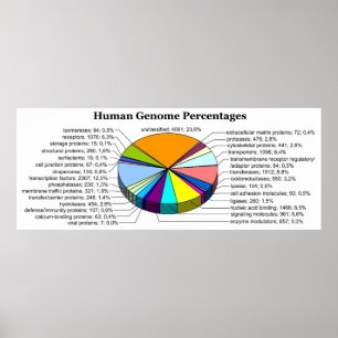 The Human Genome with Number and Percent of Each Poster