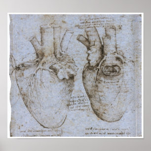 The Human Heart, Leonardo da Vinci Poster