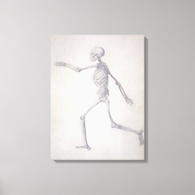The Human Skeleton, lateral view, from the series Canvas Print (Front)