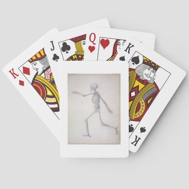 The Human Skeleton, lateral view, from the series Playing Cards (Back)