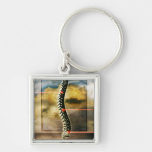 The human spine key ring
