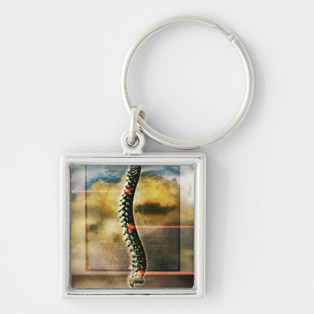 The human spine key ring (Front)