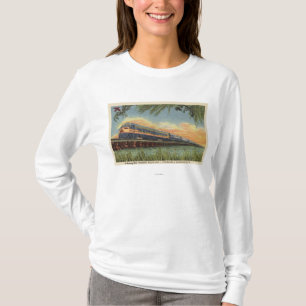 The Humming Bird Railroad Train T-Shirt