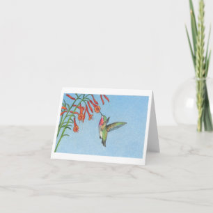 The Hummingbird Note Card
