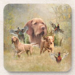 The Hungarian Wirehaired Vizsla  Coaster