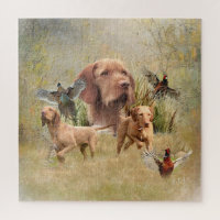 The Hungarian Wirehaired Vizsla 