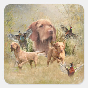 The Hungarian Wirehaired Vizsla  Square Sticker