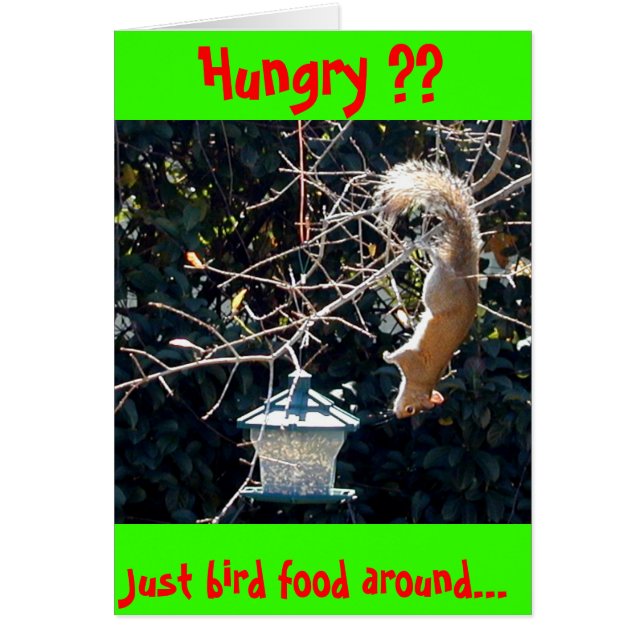 The hungry squirrel (Front)