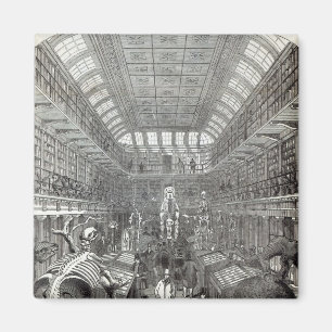 The Hunterian Museum Magnet