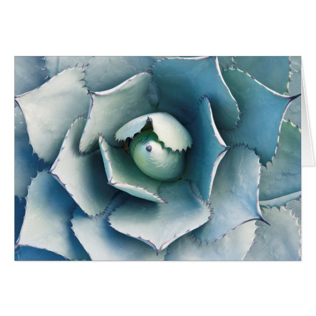 The Huntington Botanical Garden (Front Horizontal)