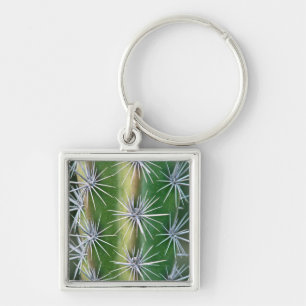 The Huntington Botanical Garden, Octopus Cactus Key Ring