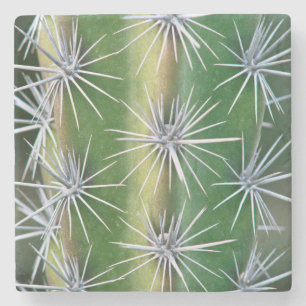 The Huntington Botanical Garden, Octopus Cactus Stone Coaster