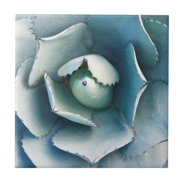 The Huntington Botanical Garden Tile (Front)