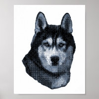 The Husky Is My Favorite Dog,Siberian Husky