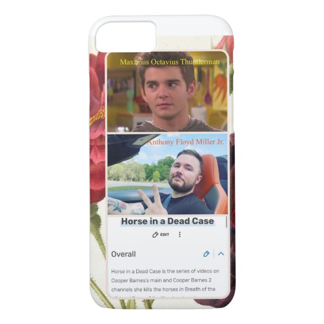 The Hyrule Castle Collage iPhone Case  (Back)