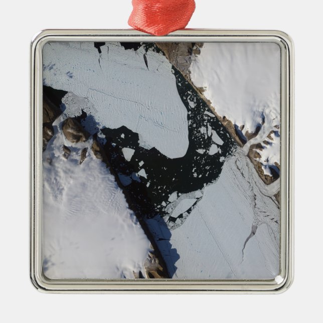 The ice island metal tree decoration (Front)