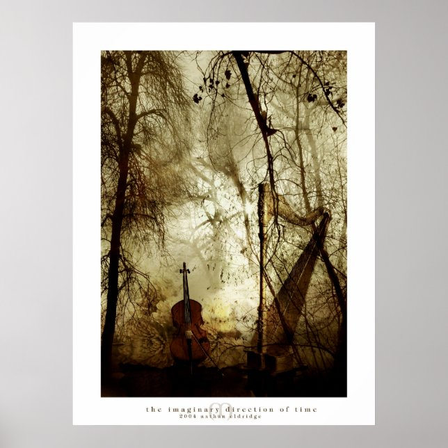 The Imaginary Direction of Time Poster (Front)