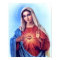 The Immaculate Heart of  Mary Poster