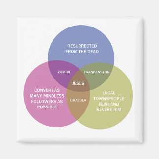The Immaculate Venn Diagram Magnet