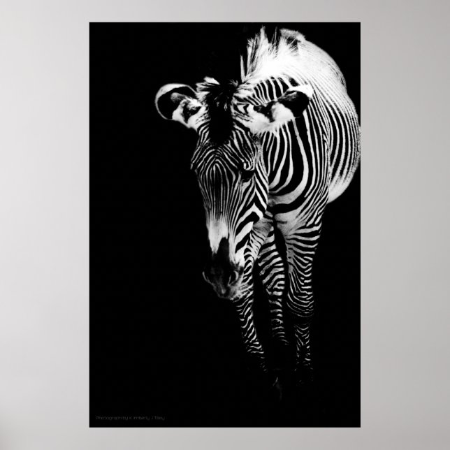 The Imperial One Print (Front)