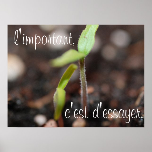 The important thing is to try-Motivational Poster (Front)