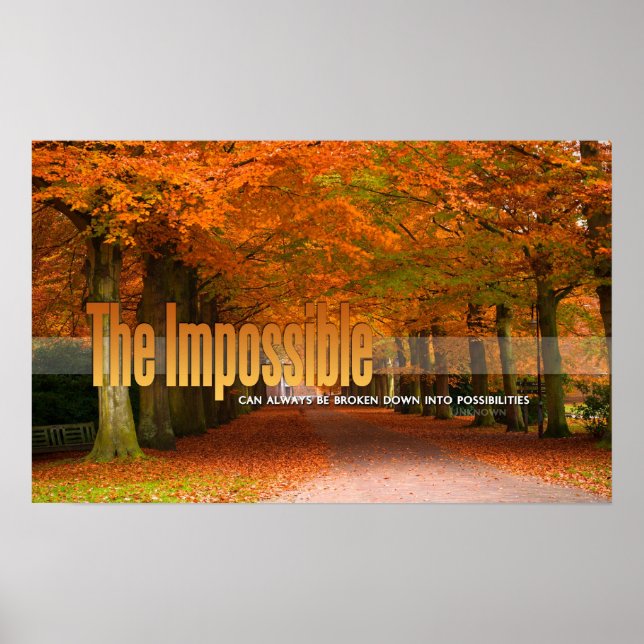 The Impossible Motivational Poster (Front)