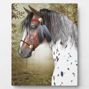 The Indian Pony Plaque