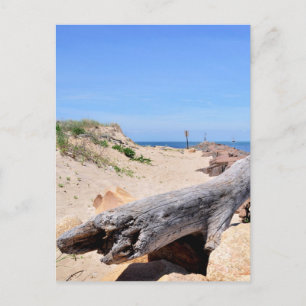 The Inlet at Lake Montauk Point Postcard