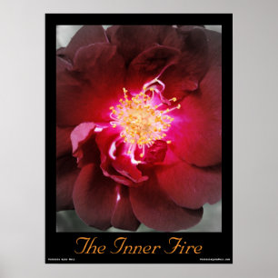 The Inner Fire - Red Rose Photography Poster