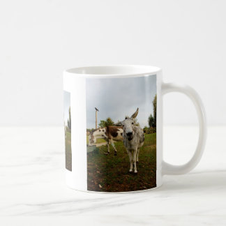 The inquisitive donkey mug