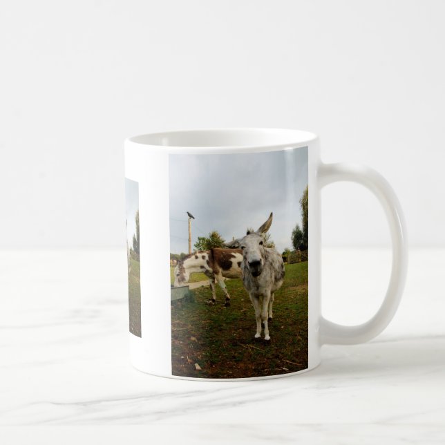 The inquisitive donkey mug (Right)