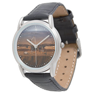 The Insight Lander Watch