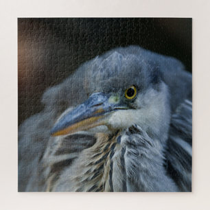 The Intense Gaze of a Grey Heron in Close-Up Jigsaw Puzzle