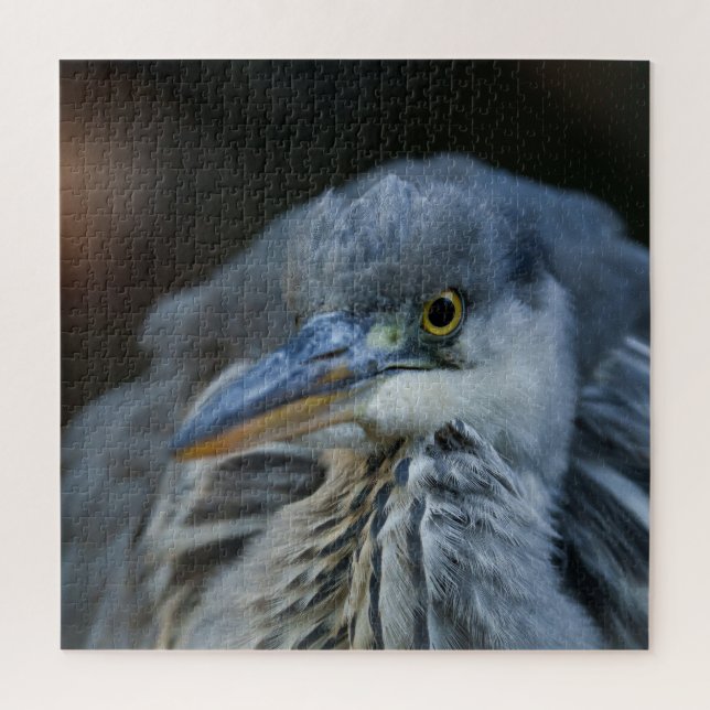 The Intense Gaze of a Grey Heron in Close-Up Jigsaw Puzzle (Vertical)