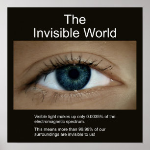 The Invisible World Poster