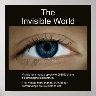 The Invisible World Poster