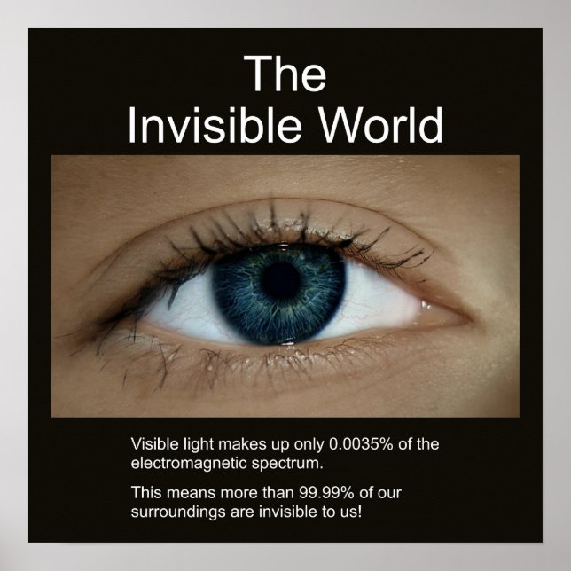 The Invisible World Poster (Front)