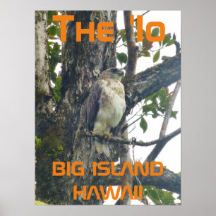 The 'Io BIG ISLAND HAWAII Poster