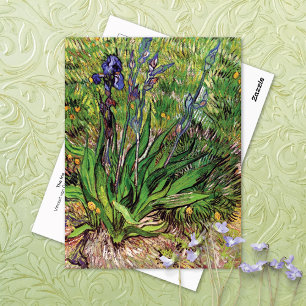 The Iris Landscape Vincent van Gogh Postcard