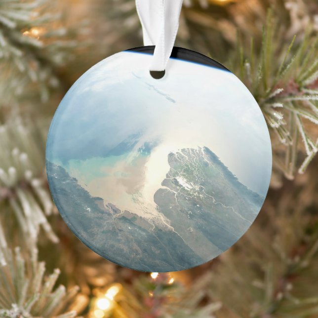 The Irrawaddy River Delta In Burma (Myanmar). Ornament (Tree)