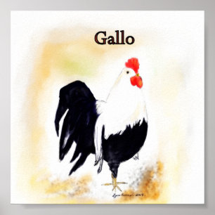 The Italian Rooster Gallo Poster